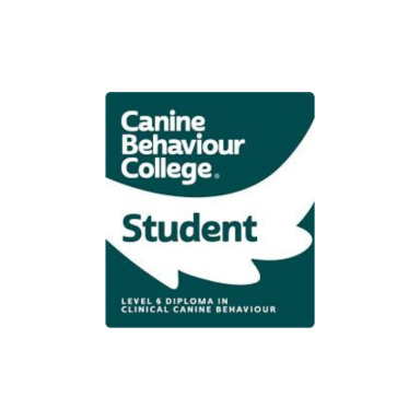 level 6 dog behaviour student